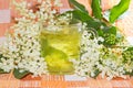 Herbal infusion of Elder or Sambucus blossoms