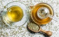 Herbal infusion fennel tea in glass cup and glass tea pot with dried fennel seeds in wooden shovel on white rustic table Royalty Free Stock Photo