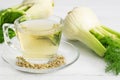 Herbal infusion fennel tea in glass cup or mug with dried fennel seeds and fennel bulbs