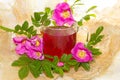 Herbal infusion of Rosa canina plant