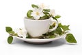 herbal jasmine tea on transparent background, png file Royalty Free Stock Photo