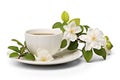 herbal jasmine tea on transparent background, png file Royalty Free Stock Photo