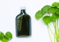 Herbal juice bottle, Fresh green centella asiatica leaves or water pennywort plant or gotu kola. Healthy drinks Royalty Free Stock Photo