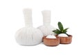 Herbal massage bags, green plant and candles on white background. Spa supply