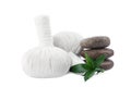 Herbal massage bags, green plant and spa stones on white background