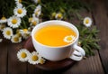 herbal matricaria chamomile tea in a porcelain cup on a dark wooden background