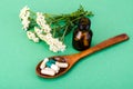 Herbal medical capsules, pills from medicinal plants on green background Royalty Free Stock Photo