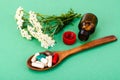 Herbal medical capsules, pills from medicinal plants on green background Royalty Free Stock Photo