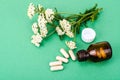 Herbal medical capsules, pills from medicinal plants on green background Royalty Free Stock Photo