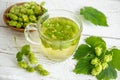 Herbal medicinal tea drink made of Humulus lupulus, the common hop or hops. Royalty Free Stock Photo