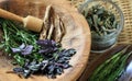 Herbal medicine Royalty Free Stock Photo