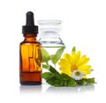 Herbal medicine or aromatherapy dropper bottle Royalty Free Stock Photo