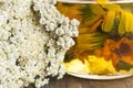 Herbal Medicine, Background, Yarrow and Calendula Oil Royalty Free Stock Photo