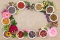 Herbal Medicine Border Royalty Free Stock Photo