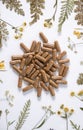 Herbal medicine in capsules for healthy eating concept with organic herb Royalty Free Stock Photo