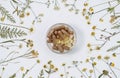 Herbal supplements and dried medicinal herbs, top view, flat lay Royalty Free Stock Photo