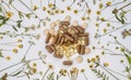 Herbal supplements and dried medicinal herbs, top view, flat lay Royalty Free Stock Photo