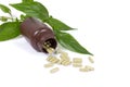 Herbal medicine capsules on white background. Royalty Free Stock Photo