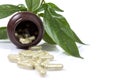 Herbal medicine capsules on white background with copy space Royalty Free Stock Photo