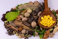 Herbal medicine concept. Angled macro shot of Ayurvedic pills in wooden spoon, assorted spices and green leaves on white Royalty Free Stock Photo