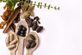 Herbal medicine concept. Close-up view of ayurvedic tablets in wooden spoons with assorted Indian Spices and ocimum sanctum Royalty Free Stock Photo