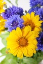 Yellow and blue flowers bucket Royalty Free Stock Photo