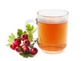 Herbal medicine: Crataegus tea. Royalty Free Stock Photo
