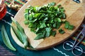 Herbal medicine.Cutting up fresh ribwort plantain leaves Plantago lanceolata , to prepare herbal syrup agains