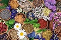 Herbal Medicine with Herbs and Flowers Royalty Free Stock Photo