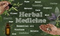 Herbal Medicine Illustration in Classic Style