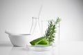 herbal medicine natural organic and scientific glassware Royalty Free Stock Photo