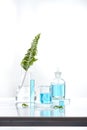Herbal medicine natural organic and scientific glassware, Research and development concept Royalty Free Stock Photo