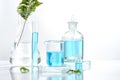 Herbal medicine natural organic and scientific glassware, Research and development concept Royalty Free Stock Photo