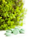 Herbal medicine pills with green plant Royalty Free Stock Photo