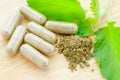 herbal medicine powder and capsules with green organic herb leaves.