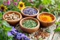 Herbal medicine preparations and remedies