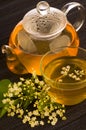 Herbal medicine, tea with elder flower Royalty Free Stock Photo