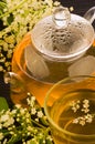 Herbal medicine, tea with elder flower Royalty Free Stock Photo