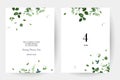 Herbal minimalist vector banners. Hand painted plants, branches, leaves on a white backgrounds