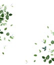 Herbal minimalist vector frame