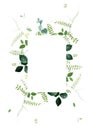 Herbal minimalist vector frame. Hand painted plants, branches, leaves on a white background