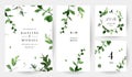 Herbal minimalist vector frames. Hand painted branches, leaves on white background