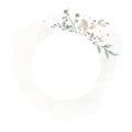 Herbal minimalistic vector frame. Hand painted plants, branches, leaves on a white background. Wedding invitation Royalty Free Stock Photo