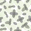 Herbal mint pattern. Vector seamless backdrop for tea packaging design