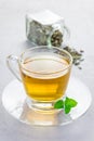 Herbal mint tea in a glass cup with dry peppermint tea on background Royalty Free Stock Photo