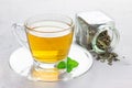Herbal mint tea in a glass cup with fresh peppermint on background Royalty Free Stock Photo