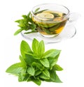 Herbal mint tea