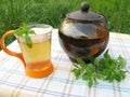 Herbal mint tea picnic in nature