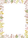 Herbal mix vector frame. Hand painted plants, branches and leaves on white background. Natural fall card design