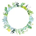 Herbal mix vector round frame.